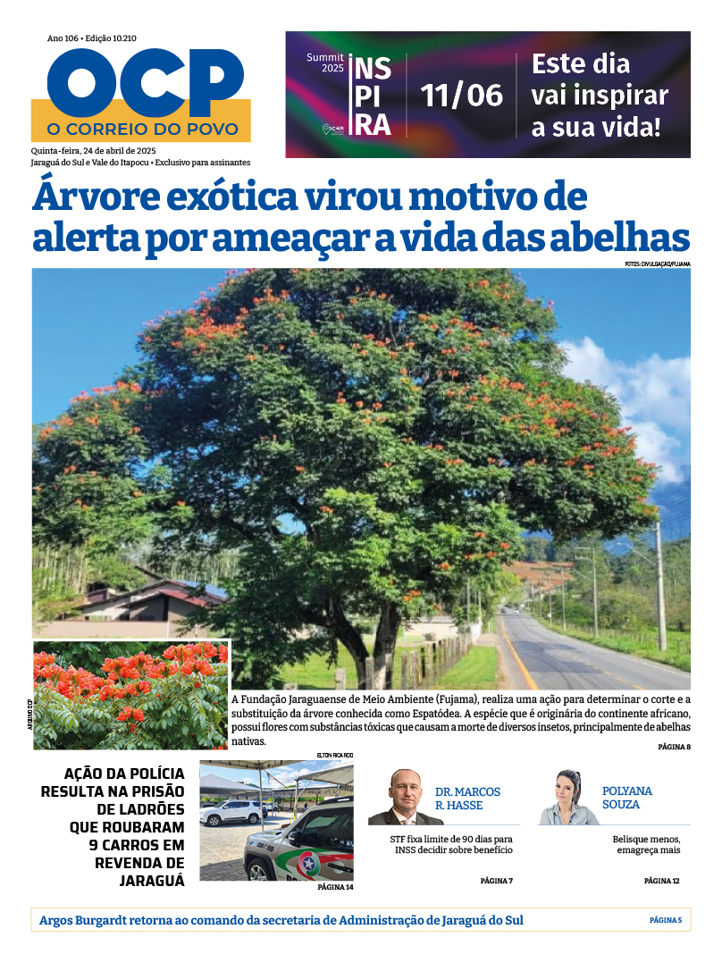 Jornal Digital O Correio do Povo edição 240425