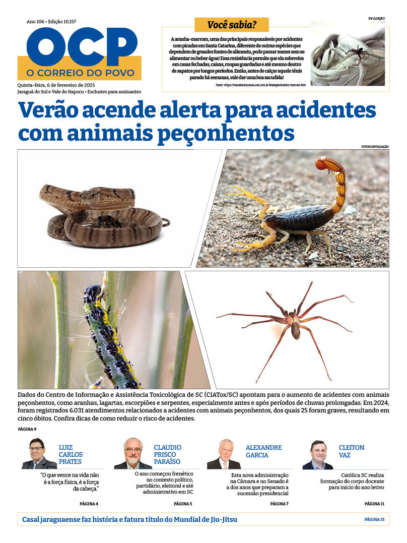 Jornal Digital O Correio do Povo edição 60225